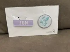 SEVENTEEN ジュン ピンバッジ