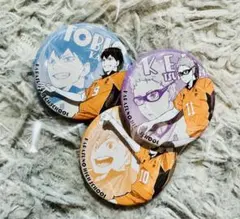 ハイキュー 日向翔陽 影山飛雄 月島蛍 缶バッジ セット