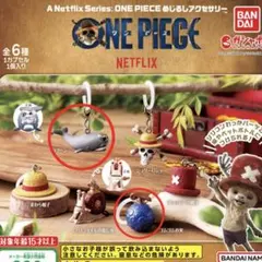 ワンピース　めじるしアクセサリー