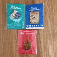 【ディズニー】非売品 ピンバッチ リゾートライン 1周年シー