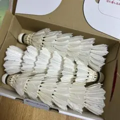 YONEX NEW OFFICIAL リペアシャトル18個