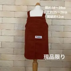 Item thumbnail for item 99f3fff5-fc4e-4d6b-a714-7431f21ebc90