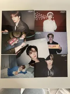 スキズ 展覧会 エキシビション ポストカード リノ コンプリート 7枚セット