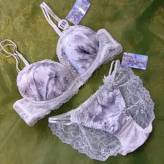 レディース ワイヤー入り ブラジャー&ショーツセット　 E80 ラブジェリー