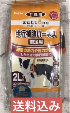 Item thumbnail for item 8a440c29-8fa9-42c4-92f7-857109abcfb4