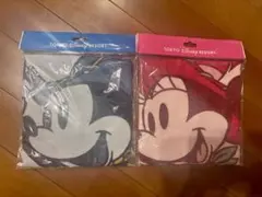 ディズニーリゾート　ウォッシュタオル　ミッキー&ミニー2枚セット　送料込み　新品