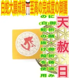 龍体文字✨フトマニ図✨丑,寅✨蛇の抜け殻✨白蛇のお守り【天赦日ご祈祷済み】AAのサムネイル