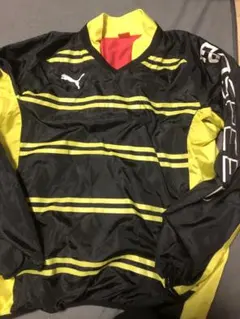 Pumaプーマピステ