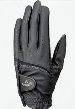 Item thumbnail for item 5ba4126b-ec43-49a6-9505-d1e41a39b61c