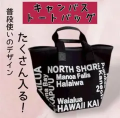 キャンパス地トートバッグ　ブラック【A4がすっぽり！】