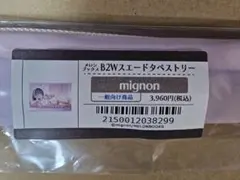 B2Wスエードタペストリー mignon 2023年8月11日号 | Mercari