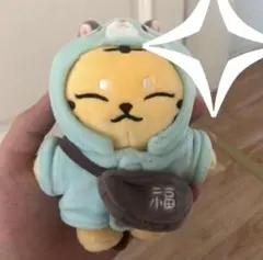 seventeen HOSHI ぬいぐるみ【15cm】おまけ付き seventeen HOSHI ぬいぐるみ【15cm】おまけ付き