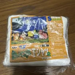 Item thumbnail for item 71a966fc-028d-4f16-9ecc-7607d09ef6f2