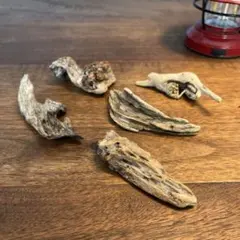 Item thumbnail for item 2a040c9d-9ae0-4172-a0d4-a052306aef81