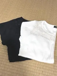 【Ｌサイズ】半袖 レース トップス 2枚セット（ブラック・ホワイト）