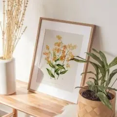 イタリア製 額装 インテリア 壁掛 エピデンドラム ラン科 ITALY オブジェ イタリア製 額装 インテリア 壁掛 エピデンドラム ラン科 ITALY オブジェ