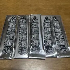 千葉ロッテマリーンズ 石垣雅海 ラメキーセット