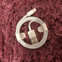 未使用]iPhone Apple 純正ライトニング ケーブル タイプA