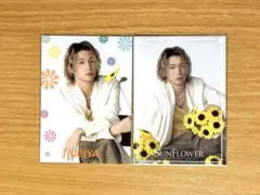 瀬口黎弥 SUNFLOWERフォトカード