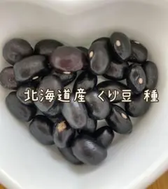 Reiko様 リクエスト 2点 まとめ商品