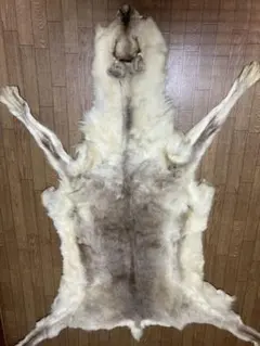 2025年最新】トナカイ 毛皮の人気アイテム - メルカリ