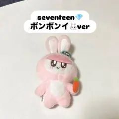 2025年最新】seventeenうちわウォヌの人気アイテム - メルカリ