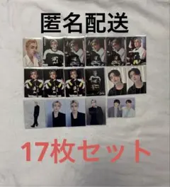 SEVENTEEN セブチ　エスクプス　トレカ17枚セット