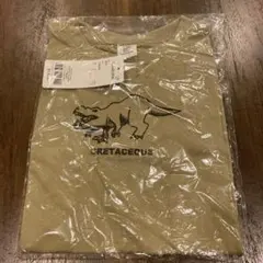 デビロック　キッズ　Tシャツ　130  恐竜