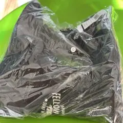 Item thumbnail for item 8202e9b0-e869-4dc0-bc37-e5f95b7d8d9a