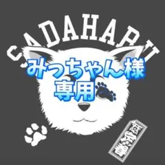 みっちゃん様専用ページですꕤ*.゜