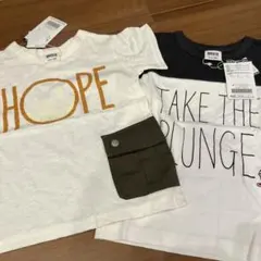 Item thumbnail for item 776ce66b-60bf-4b6e-ba4a-0ef6d0206e95