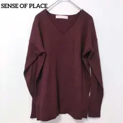 センスオブプレイス　アーバンリサーチ　ニットセーター　F　Vネック　薄手