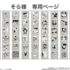 そら様　専用ページ