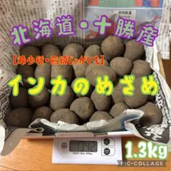 2026年最新】インカのめざめ種芋の人気アイテム - メルカリ