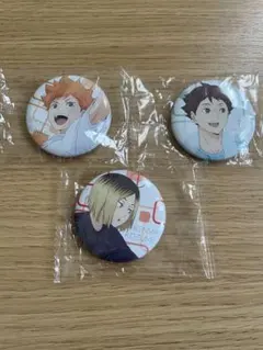ハイキュー　ピンバッジ