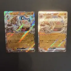 マンムーex RR SV9 バトルパートナーズ 046/100