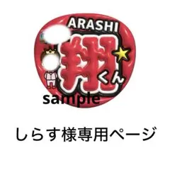 しらす様専用ページ