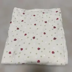 Item thumbnail for item bdf40b36-0864-480d-8e8d-0f8edd5d9f14