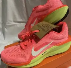 Item thumbnail for item de9c5feb-c8fd-4b45-b512-7fe46c6dbac3