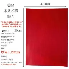 Item thumbnail for item f3352a9a-4fb7-4e30-a572-07947cc83e0d