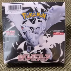ホワイトフレア シュリンク付き ペリペリあり 1BOX