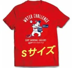 Item thumbnail for item 87d6c8e1-fd51-4671-b525-37ddb0b62cc9