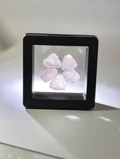 ローズクウォーツ5gケース付き