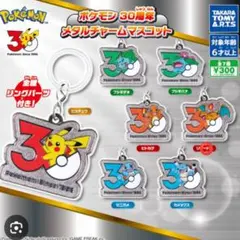 ポケモン 30周年 メタルチャームマスコット リザードン
