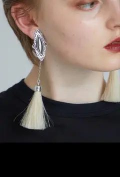 TOGA PULLA　タッセルイヤリングのサムネイル