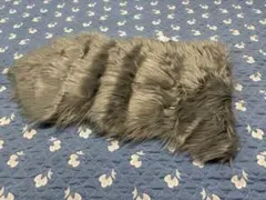 Item thumbnail for item 7081d444-c254-4853-a4df-cb59875af88a