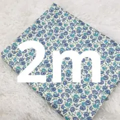 ラスト2点 在庫整理セール 2m 綿 シーチング生地 小花柄