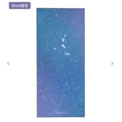 SUKALA【新品未使用】ホットヨガ タオルラグ ピーターパン LAVA s1k