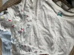 Item thumbnail for item c0c44707-7afb-464a-a2d8-fd905ee28765