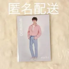 SEVENTEEN ウォヌ トレカHARU